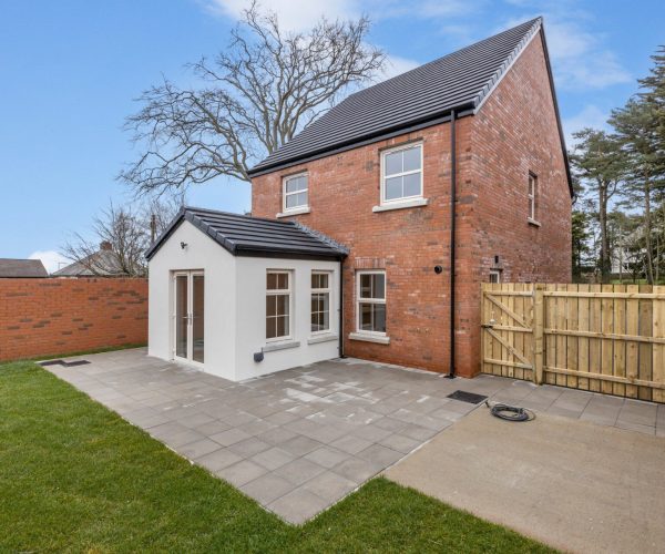 342845993_915917159660163_2475751854600379355_n