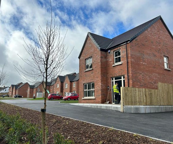 347266373_653614296100235_8688413755879920396_n