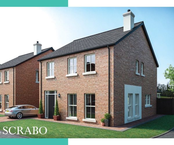 Ballyhenry_P2_Aug17_Scrabo_CGI