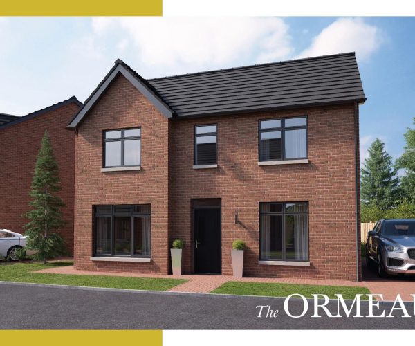 CGIs_ The Ormeau