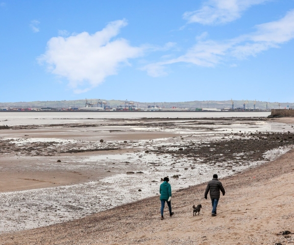 Rosemount Homes Dec 24 13-min